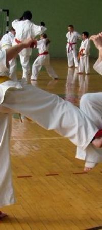 photo_8